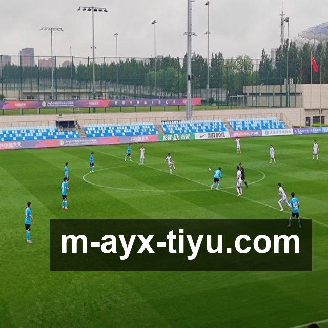 互动广告提升品牌参与效果