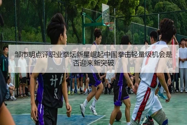 邹市明点评职业拳坛新星崛起中国拳击轻量级机会是否迎来新突破