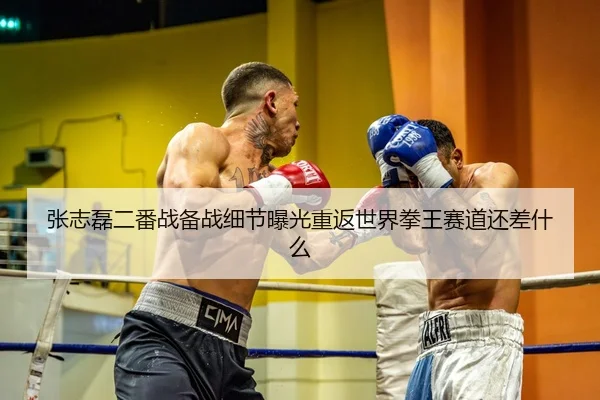 张志磊二番战备战细节曝光重返世界拳王赛道还差什么